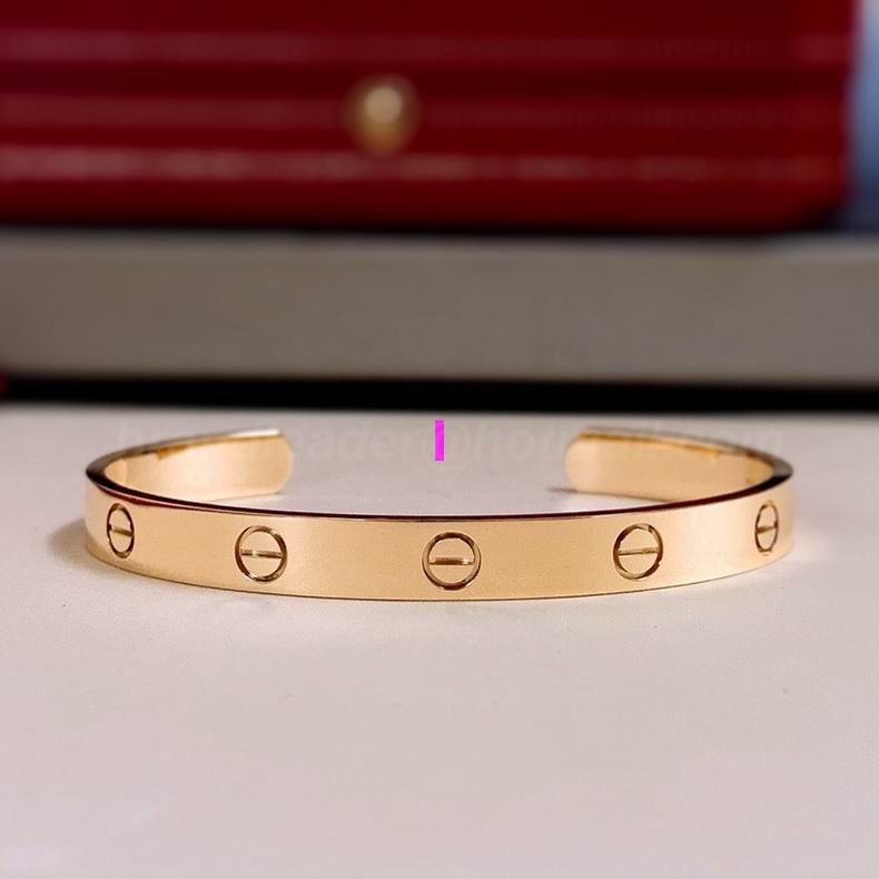 Cartier Bangles 117